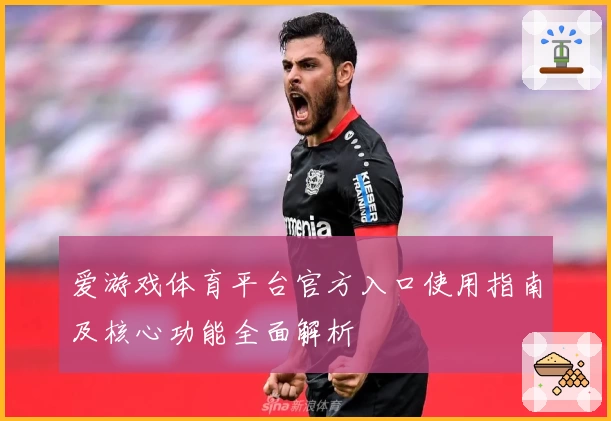 爱游戏体育平台官方入口使用指南及核心功能全面解析